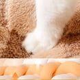 thumbnail image 3 of Ours Brun Animal Lavable Réutilisable Animal Training Pad Canapé Canapé Canapé Canapé Chat Chaud Canapé Chien Multifonctionnel pour Dormir Relaxant, 3 of 8