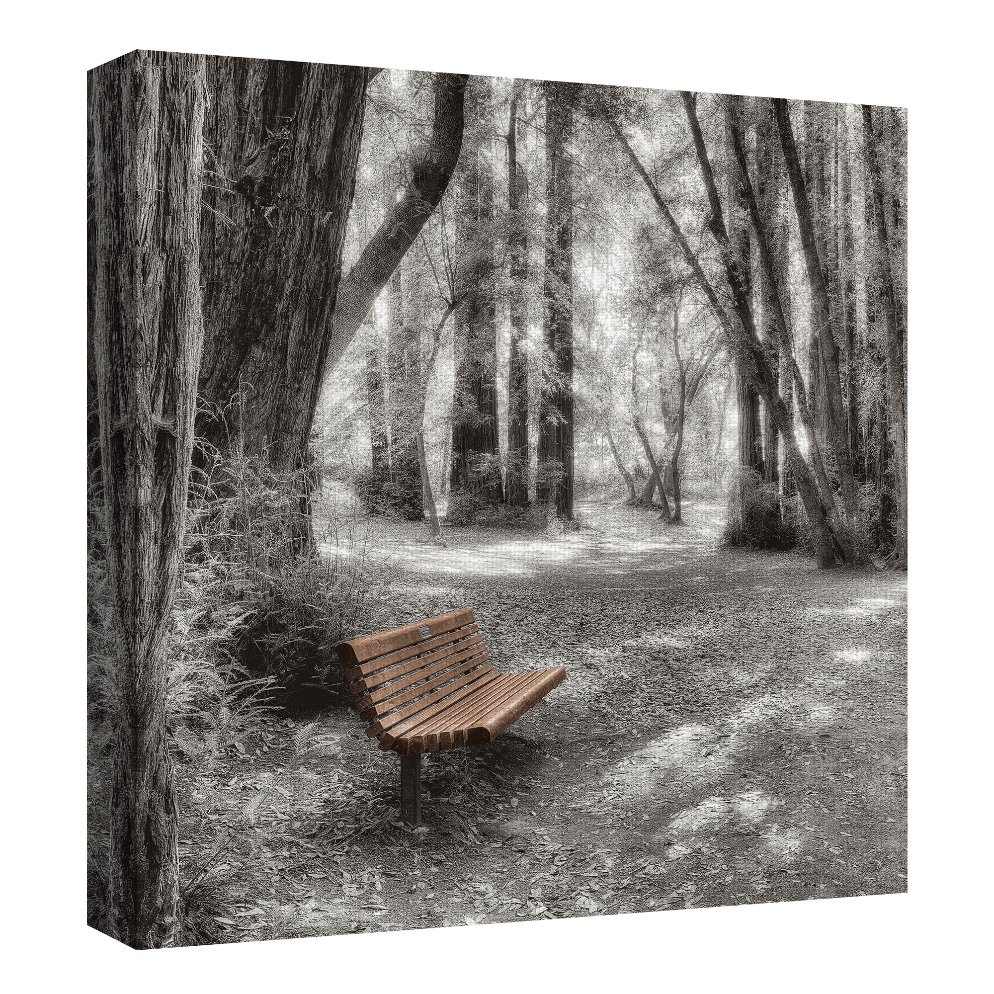 Masterpiece Art Gallery Old Mill Park Bench by Alan Blaustein Canvas Art Print 30" x 30"