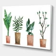 thumbnail image 3 of Designart ' Duo of Potted Flowers House Plants In Claypots ' Farmhouse Canvas Wall Art Print, 3 of 4