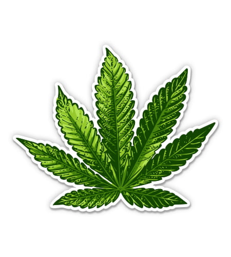 4" Marijuana Cannabis Weed Vinyl Transfer Decal 