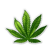 Marijuana Leaf Weed Canabis - 3" Vinyl Sticker - For Car Laptop I-Pad Phone Helmet Hard Hat - Waterproof Decal