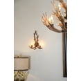 thumbnail image 2 of Lámpara de pared AFD Home Antler, 2 of 5