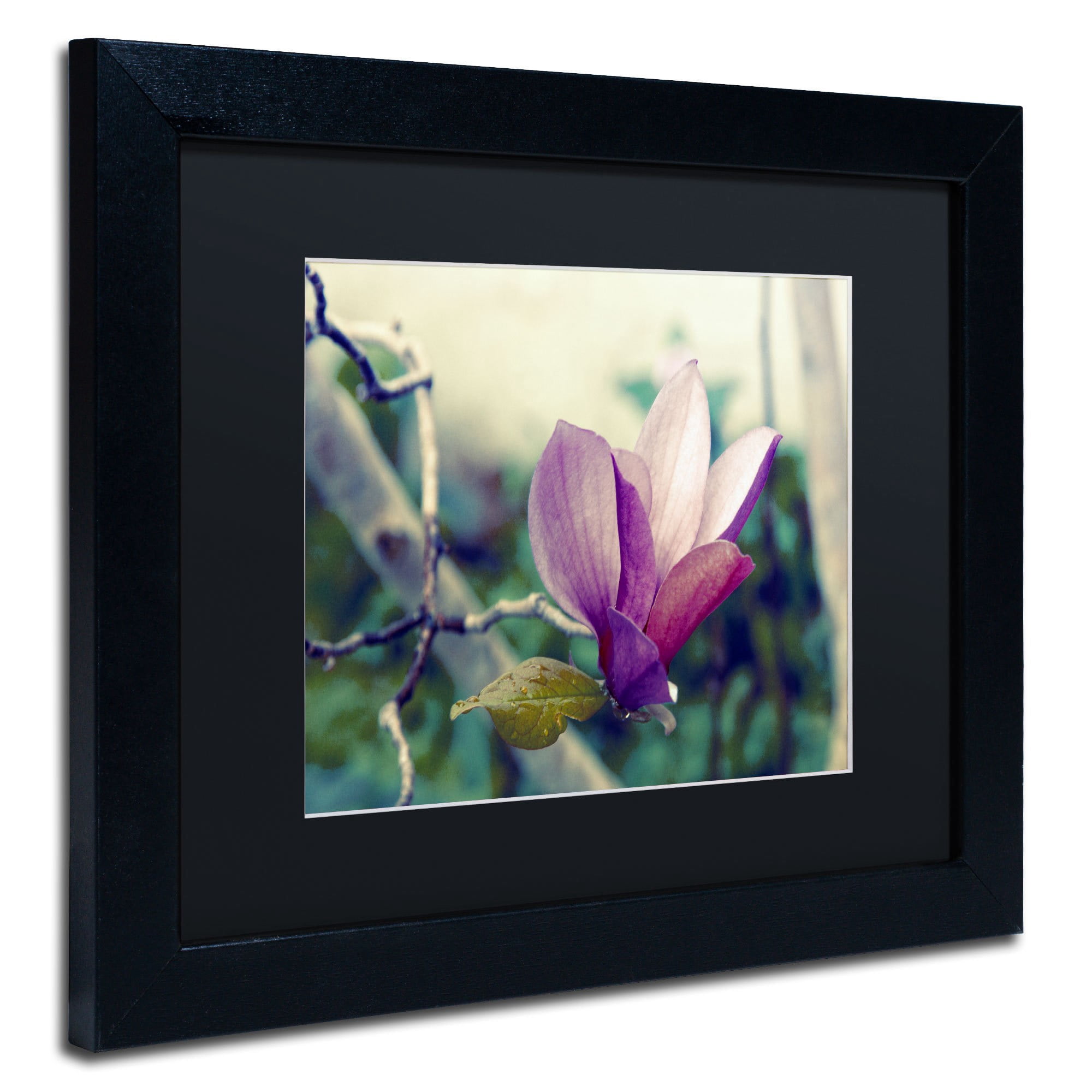 Trademark Fine Art "Pink Magnolia" Canvas Art by Patty Tuggle, Black Matte, Black Frame