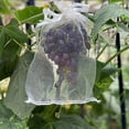 thumbnail image 4 of Insect Proof Mesh Bag, Bird Netting Fruit Protection Bags, Breathable Drawstring Pest Barrier for Grapes Peaches Figs and Strawberries, Reusable Garden Crop Cover, 4 of 6