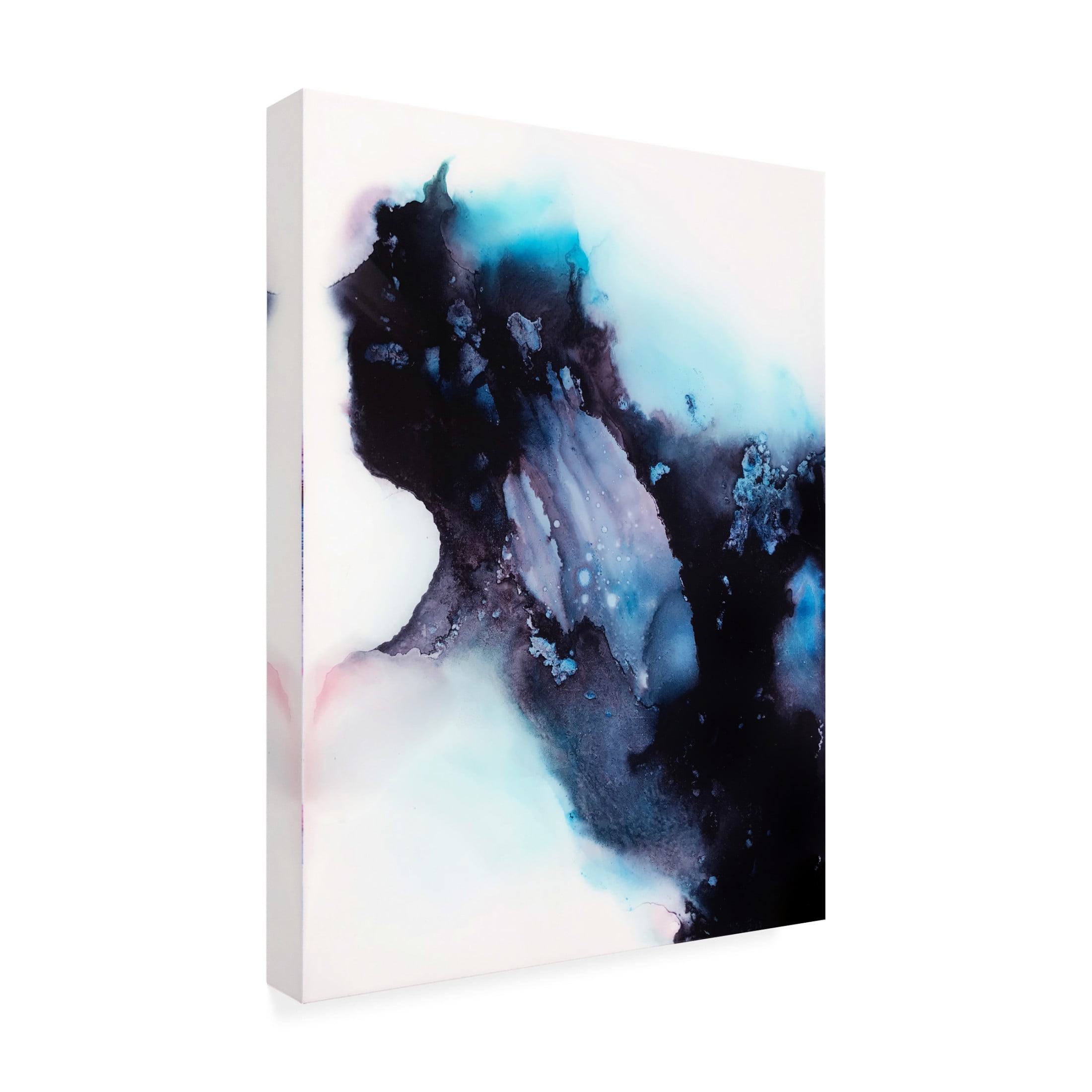 Trademark Fine Art Alyson Storms Portal Canvas Wall Art