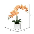 thumbnail image 2 of Vickerman 25" Artificial Potted Real Touch Coral P, 2 of 2