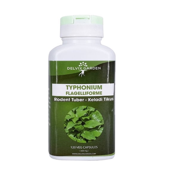 Typhonium Flagelliforme Root – 350mg, 120 Capsules for Immune & Cellular Support