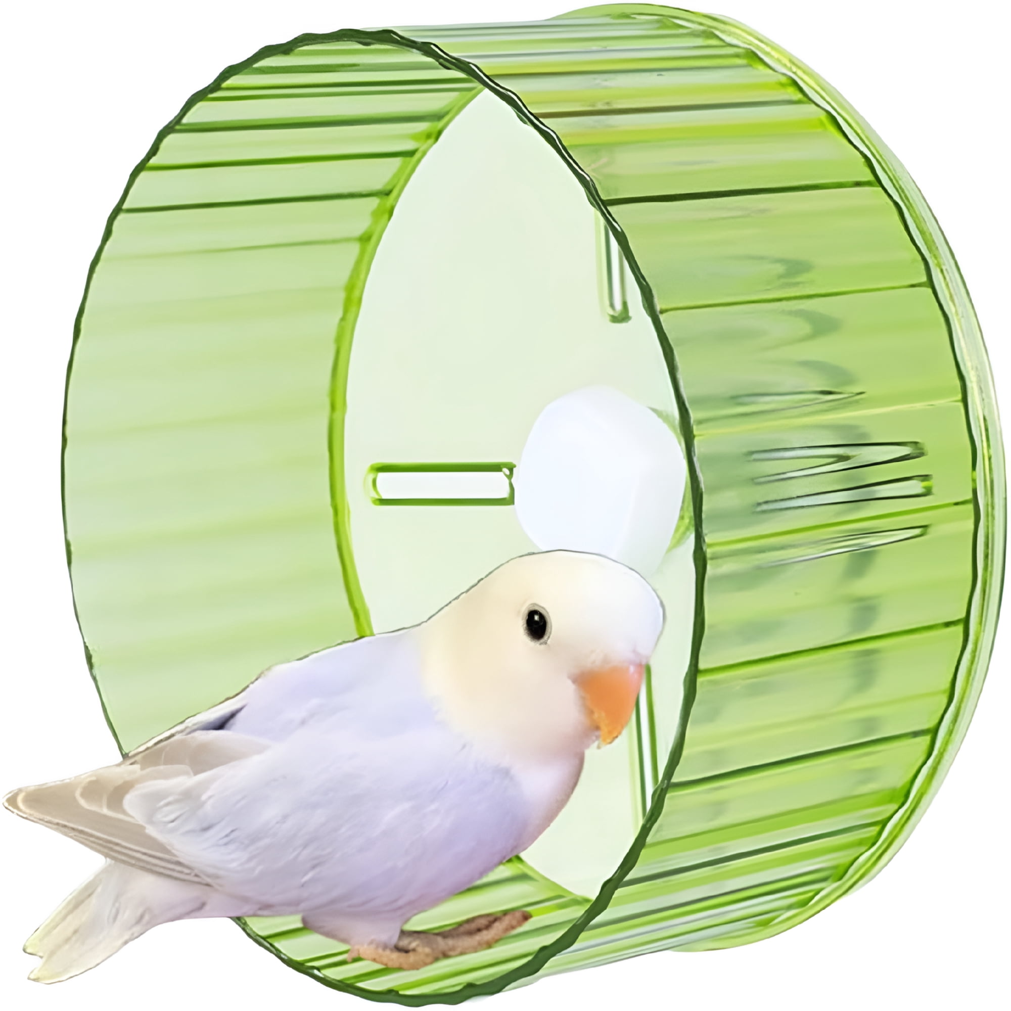 BESTSKY Bird Wheel Toy,Silent Parrot Exercise Wheel Interactive Rotating Toy for Small Medium Birds - Parakeets Cockatiels Conures Lovebirds Finches - Bird Cage Enrichment Accessory,6.7''D