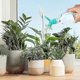 thumbnail image 3 of 4 Pcs Sprinkler Bottle Cap,bottle Cap,mini Sprinkler Bottle Watering,bonsai Watering Can Sprinkler Sprinkler Head For Indoor Watering Can,seedlings,pl, 3 of 4