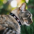 thumbnail image 2 of Buckle-Down Breakaway Cat Collar With Bell, Plastic Clip, Easy Adjustable, United Kingdom Flags Vintage Black, 8.5 to 12 Inches 0.5 Inch Wide, 2 of 4