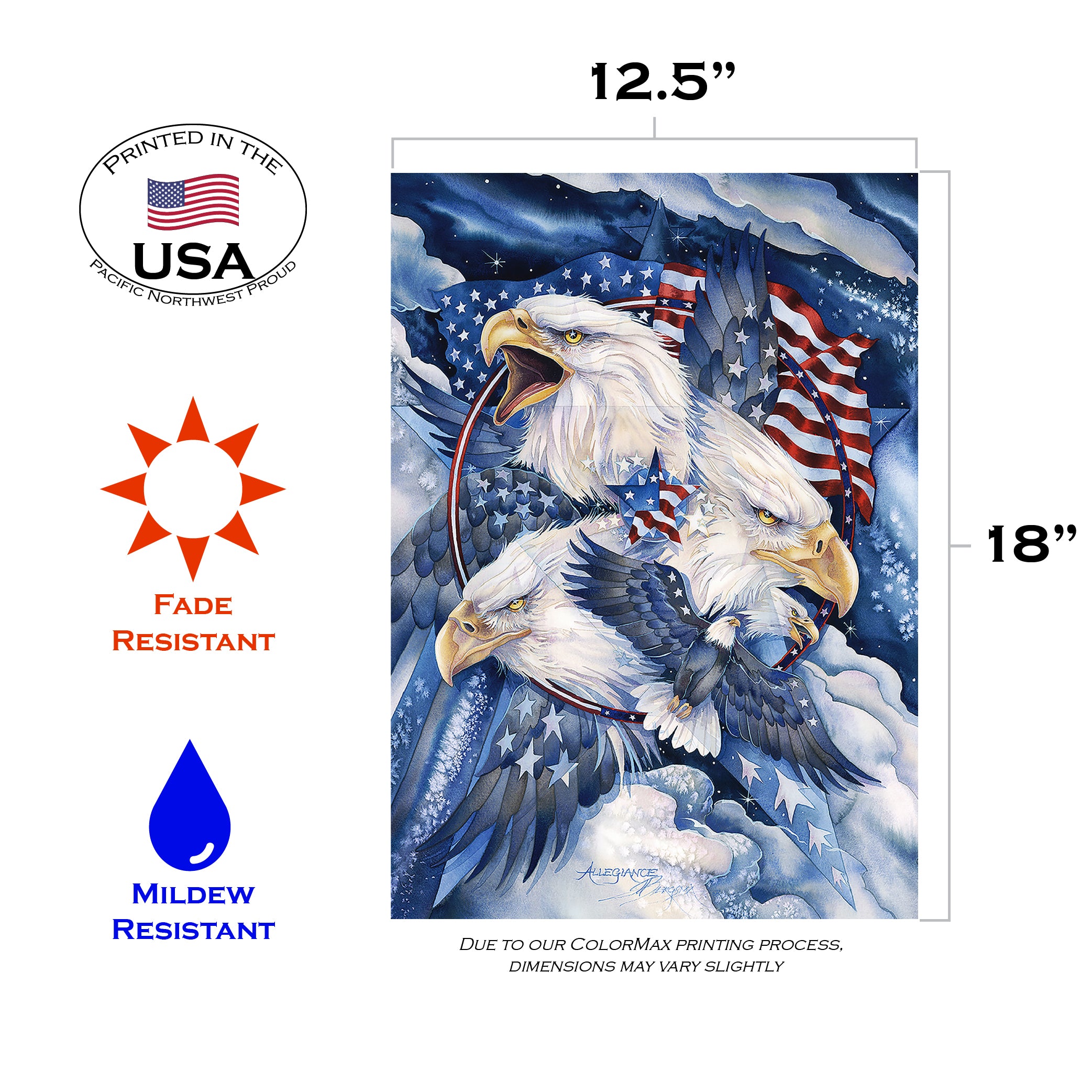 Toland Home Garden Fierce Allegiance Eagle Patriotic Flag Double Sided 12x18 Inch - image 2 of 5