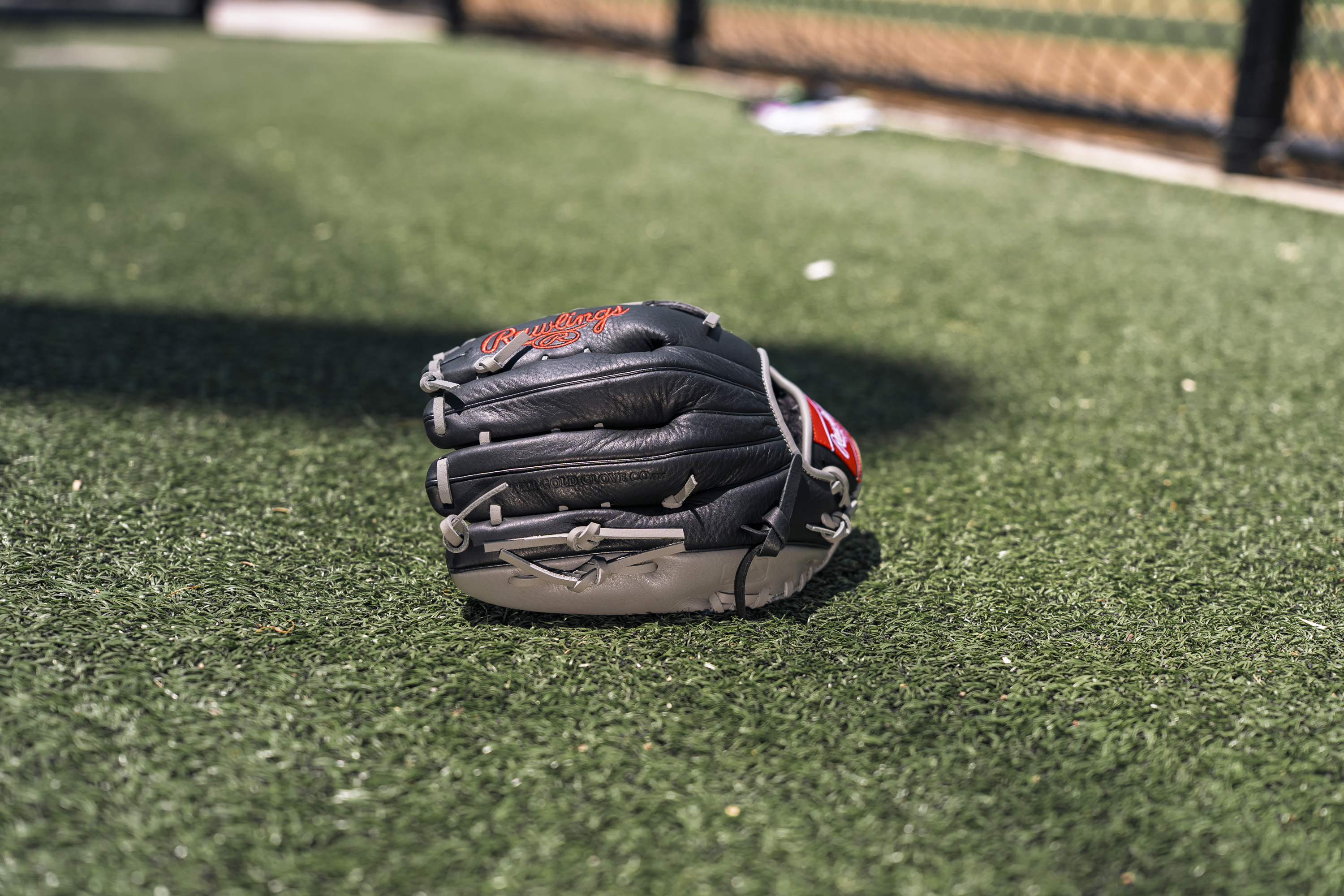 Rawlings Pro Select Series 12.5 In. Baseball Glove photo 6