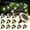 Warm White, variant on Solar Ground Lights Outdoor 2 Pack Waterproof, Upgraded Solar Garden Lights with 4 Side Light, Stainless Steel Solar Powered Disc Landscape Light for Walkway Pathway Lawn Yard Patio Deck-Cool White