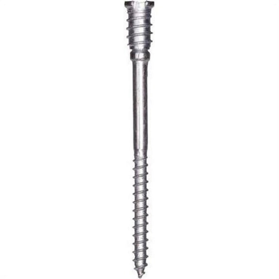 GRK 4052445 0.25 x 3.12 in. Stainless Steel Shim Head Screw
