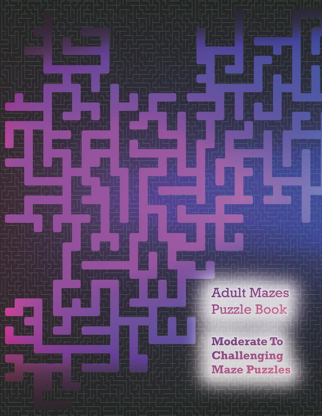 Adult Mazes Puzzle Book Moderate to Challenging Maze Puzzles, Hours of