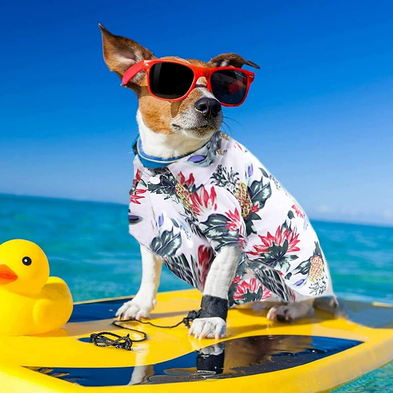Dog beach shirt cheap