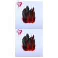thumbnail image 1 of Langgg 50piece Natural Rooster Feather Craft For Exquisite Handcrafts Durability Eco-friendly Feathers 2Set, 1 of 4