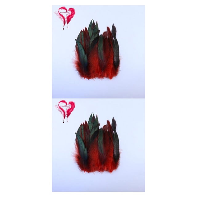 Langgg 50piece Natural Rooster Feather Craft For Exquisite Handcrafts Durability Eco-friendly Feathers 2Set