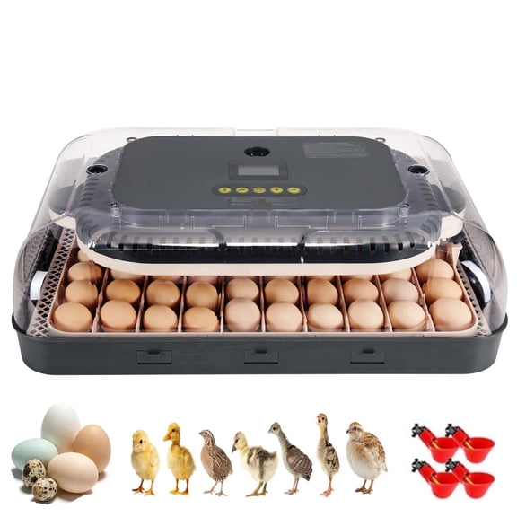 Adnoom 70 Egg Incubator for Hatching Eggs, Chicken Incubator for Eggs with Automatic Egg Turning and Humidity Control, Temperature Control & Egg Candler, Incubator for Chicken Quail Duck Goose Bird