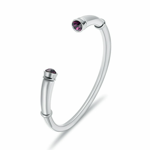 Memorial Stainless Steel Bangle withPurple Birthstone Cremation Jewelry for Ashes Funeral Urns Bracelet