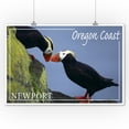thumbnail image 2 of Newport, Oregon, Tufted Puffins (9x12 Wall Art Print, Home Decor), 2 of 3