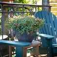 thumbnail image 5 of RTS Home Accents 16" Square Garden Planter for Indoor or Outdoor Gardening, Graphite Color, 5 of 7