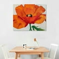 Nawypu Red Poppies Georgia O'Keeffe Art Flower Poster Home Posters ...