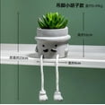 thumbnail image 1 of Succulent Potted Plants Succulent Artificial Plants Potted Plants, 1 of 3