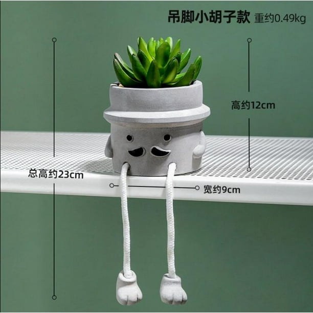 Plantas suculentas en maceta Plantas suculentas artificiales Plantas en maceta Wmkox8yii fhajkh59
