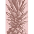 thumbnail image 2 of Artographie Studio 17x24 Gold Ornate Wood Framed with Double Matting Museum Art Print Titled - Pineapple Close Up 01, 2 of 4
