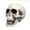 White, variant on Halloween skull head Halloween skeleton realistic fake simulation human skull model