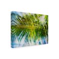 thumbnail image 2 of Sven Pfrommer 'Evergreen No 9' Canvas Art, 2 of 3
