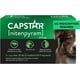 thumbnail image 1 of CAPSTAR Tratamiento oral de pulgas para perros, comprimidos de acción rápida comienzan a matar pulgas en 30 minutos, perros medianos y grandes (más de 25 libras), 6 dosis, 1 of 5