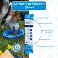 thumbnail image 3 of Replenish Electrolyte Substitute Formula Hydration Water Additive Supplement for Dogs Recovery, 3 of 11