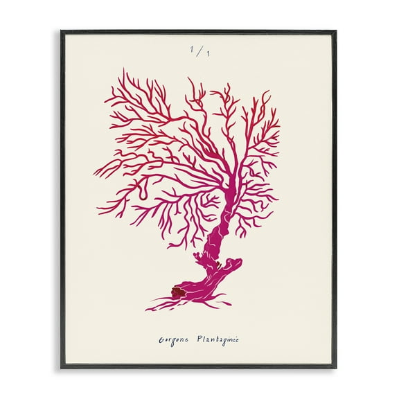 Stupell Industries Sea Fauna Coral Nautical & Beach Painting Black Framed Art Print Wall Art, 11 x 14