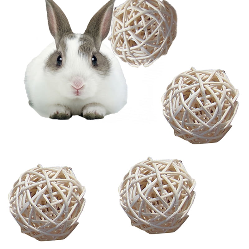 rabbit hamster ball
