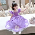thumbnail image 4 of HAWEE Princess Costume for Girl Dress Up Costume Kids Puff Sleeve Fancy Party Purple Costume Layerd Dresses, 4 of 7