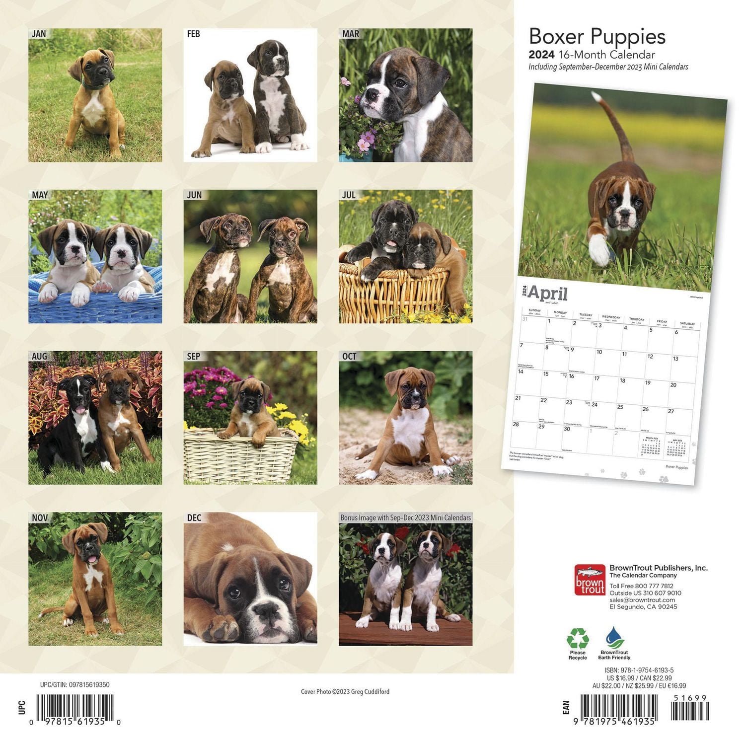 BrownTrout Boxer Puppies 2024 12x24 Inch Square Wall Calendar, 9781975461935