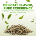 thumbnail image 3 of Fusion Select 100 Organic White Tea Bags, 3 of 7