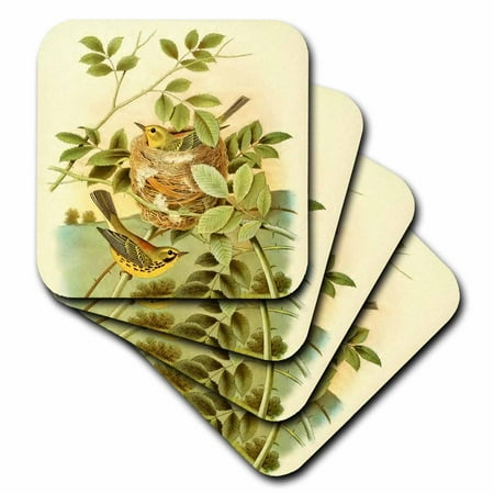 

Vintage Yellow Bird Print Prairie Warbler birds nest Art Illustration set of 4 Coasters - Soft cst-364661-1