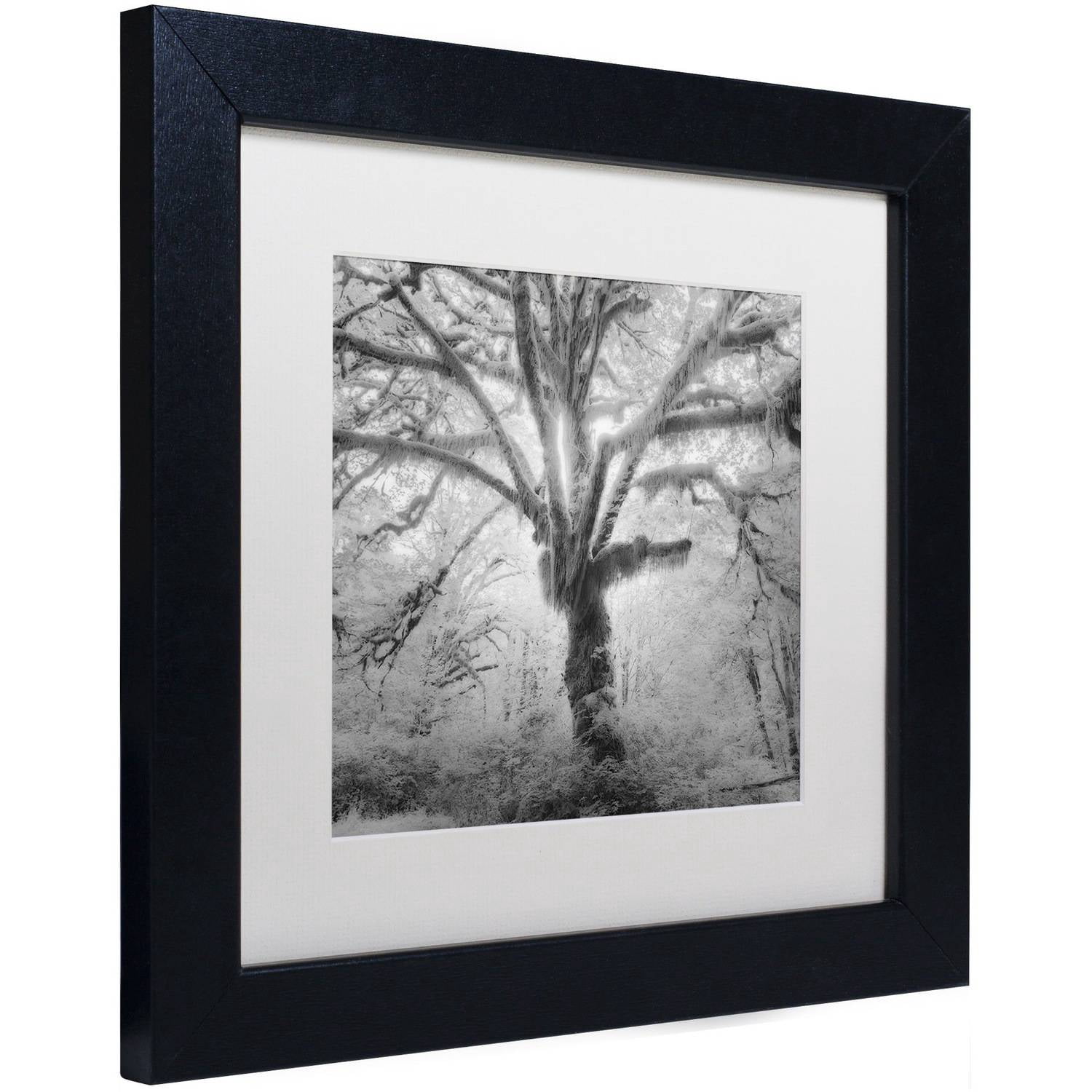 Moises Levy 'Lightning Tree II' Matted Framed Art