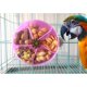 thumbnail image 3 of Bird Creative Foraging System Wheel Seed Food Ball Rotate Training Toy For Small And Medium Parrots Parakeet Cockatiel Conure, 3 of 4