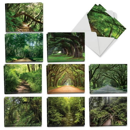 Nature Trail - 20 All Occasion Note Cards with Envelope (4 x 5.12 Inch) - Beautiful Boxed Assorted Scenery Greeting Notecards - Natural Landscapes, Stationery (2 Each, 10 Designs) AM6467OCB-B2x10