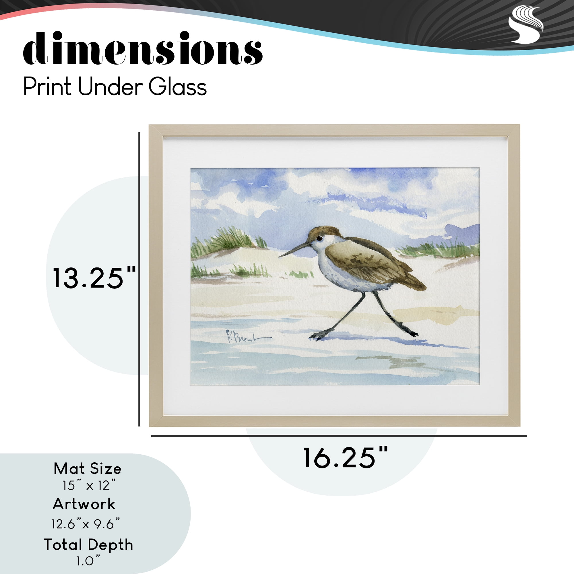 Stupell Industries Inlet Beach Sandpiper Running Birch Framed Print Under Glass, design by Paul Brent