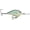 Blue Back Herring, variant on Rapala DT 16 Crankbait Caribbean Shad