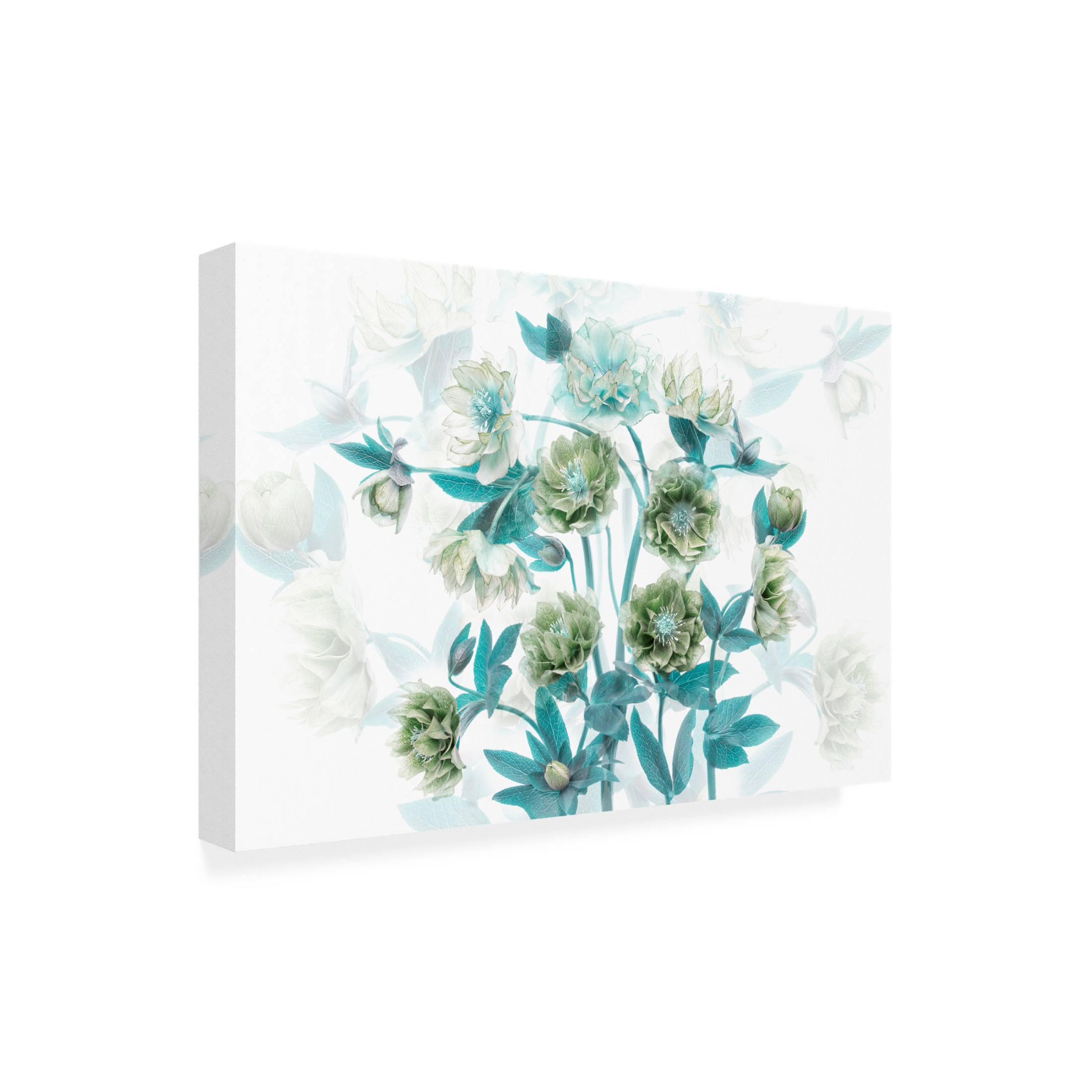 Trademark Fine Art Jacky Parker Flourishing Canvas Wall Art