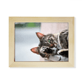 thumbnail image 1 of Actividad Animal Gato foto foto Escritorio de madera Arte Pintura 6x8 pulgadas marco de foto foto, 1 of 4
