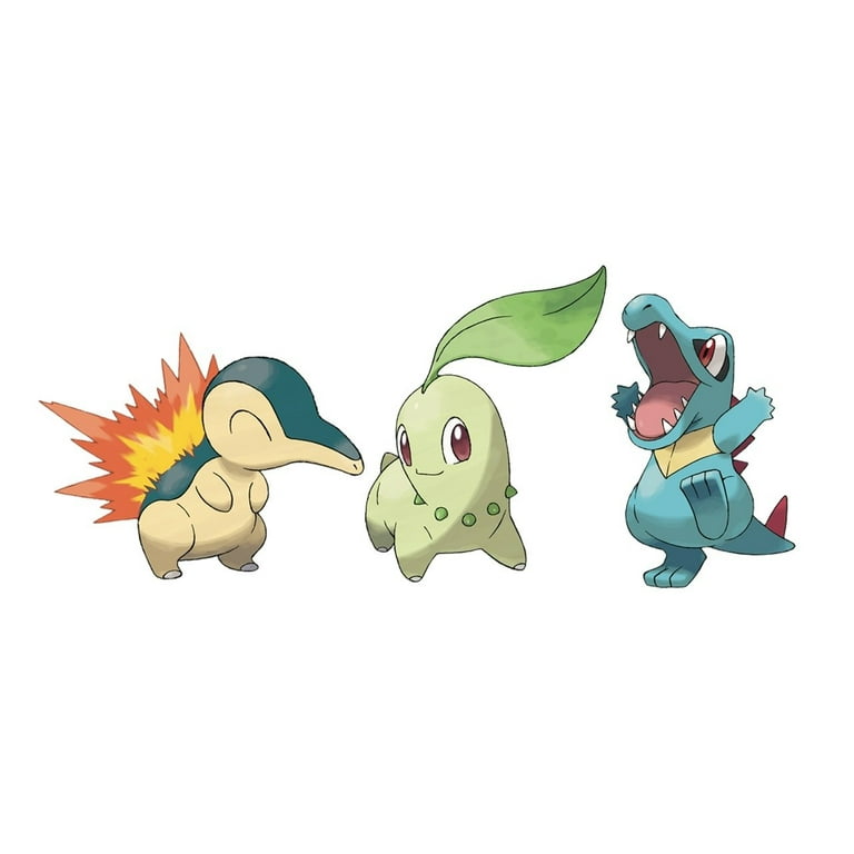 Johto Region Starter Pokemon