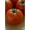 Expert Gardener 2.5g Tomato W Cage