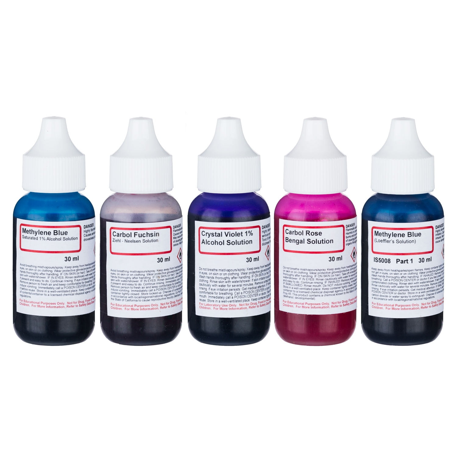 AmScope Bacteria Stain Kit of Five Chemicals for Preparing Microscope Slides New